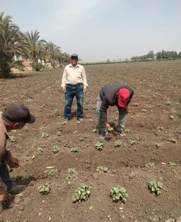 Screenshot_2024-06-07-14-34-01-77