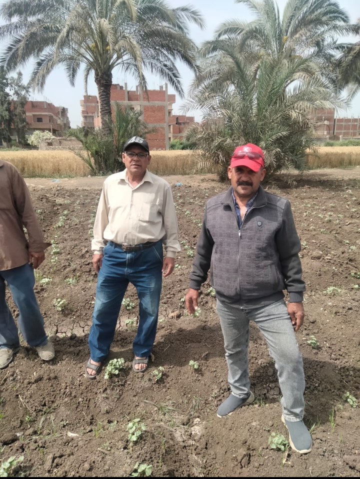 Screenshot_2024-06-07-14-33-50-42