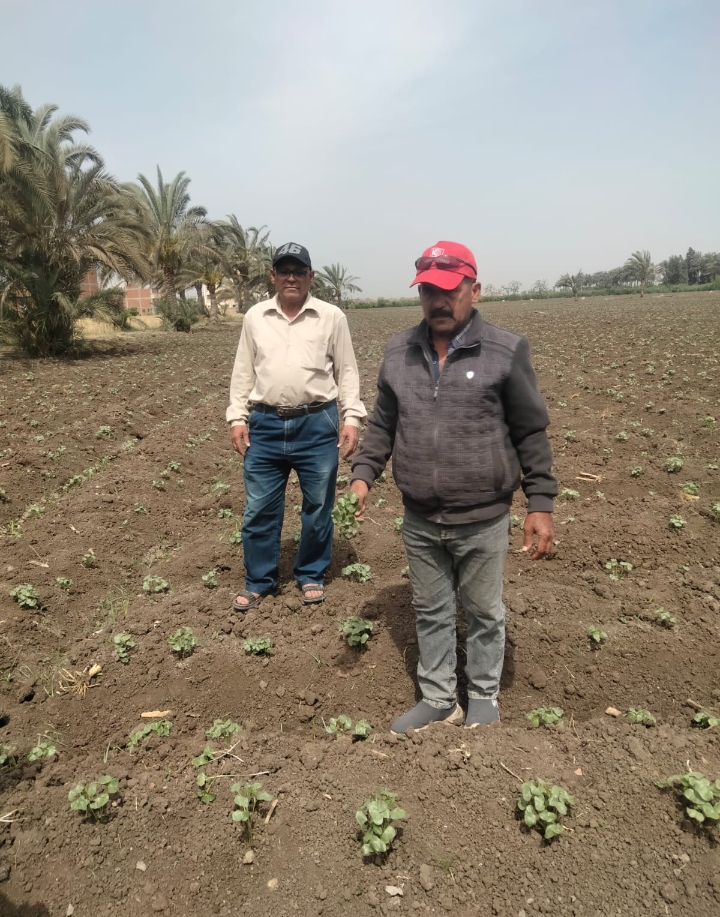 Screenshot_2024-06-07-14-33-37-28