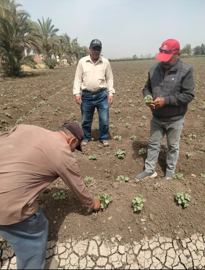 Screenshot_2024-06-07-14-33-25-02