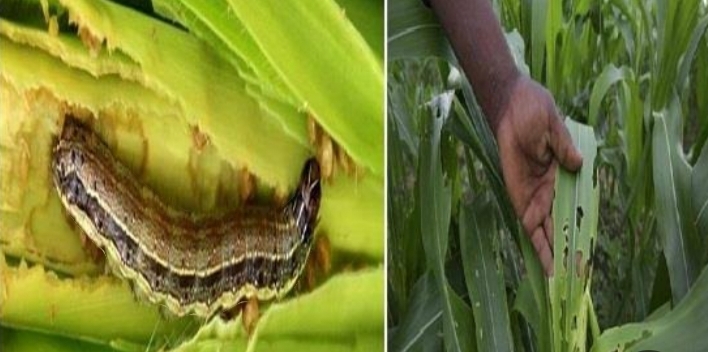 IMG_٢٠٢٤٠٦٠٧_١٤٤١٣٨