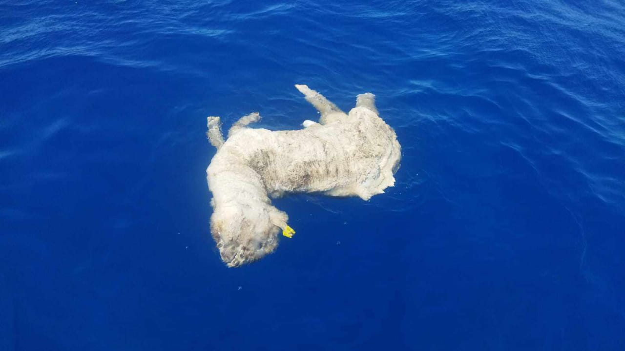 aef6266e-38e6-40bd-a018-7a6f2e5e6a0c