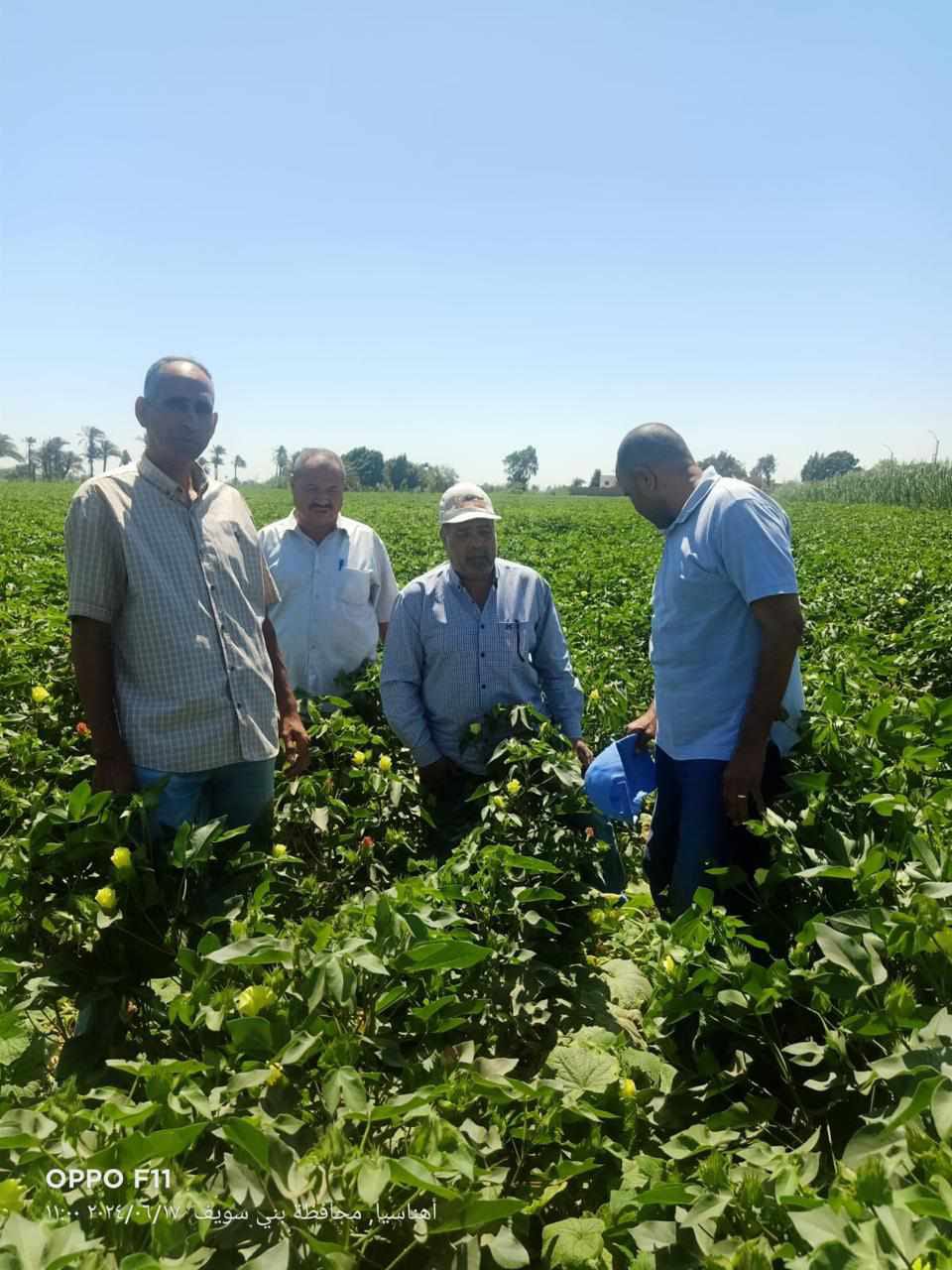 00339aa1-2202-4832-b466-9d2ec8820033