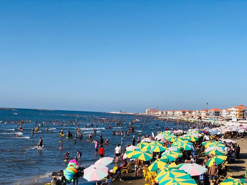 D0F63DB7-B9C9-4238-B47B-6D06C6EE2804