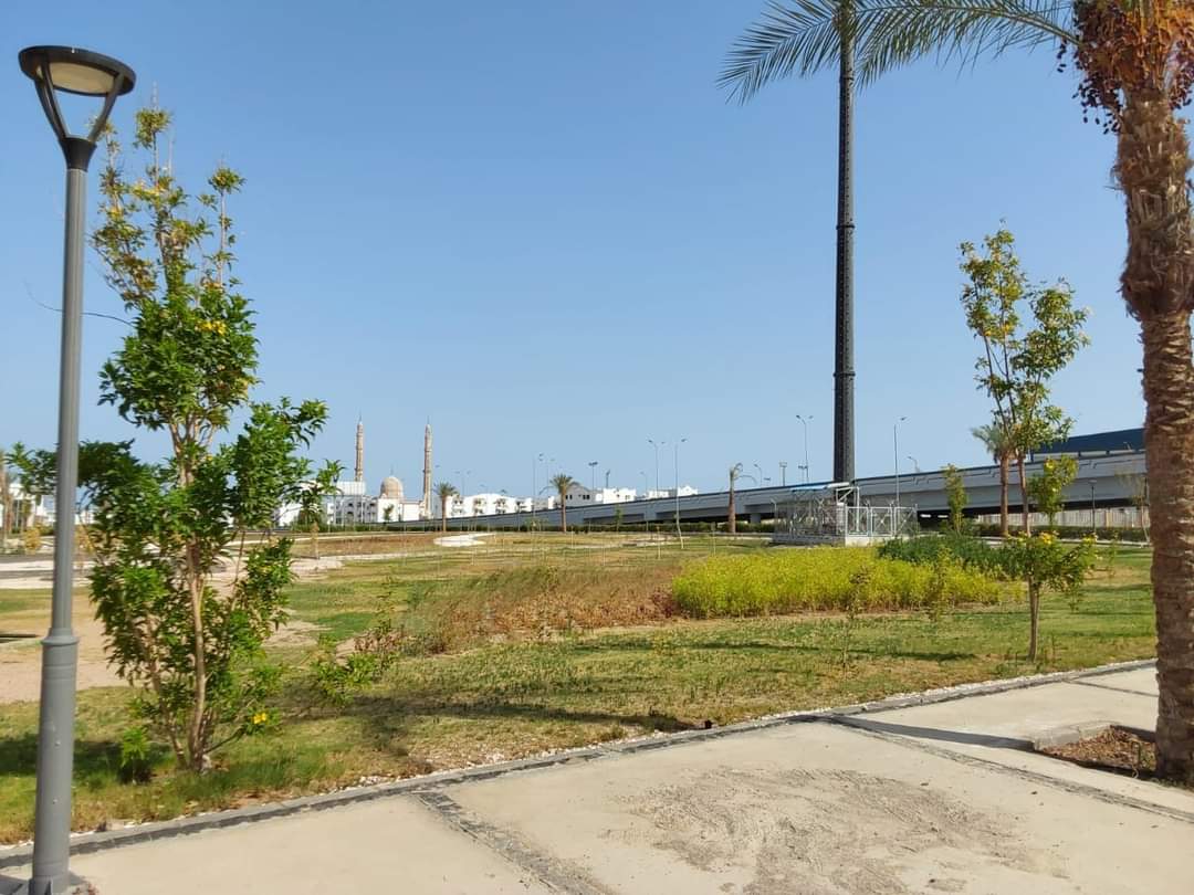 FB_IMG_1718971328248