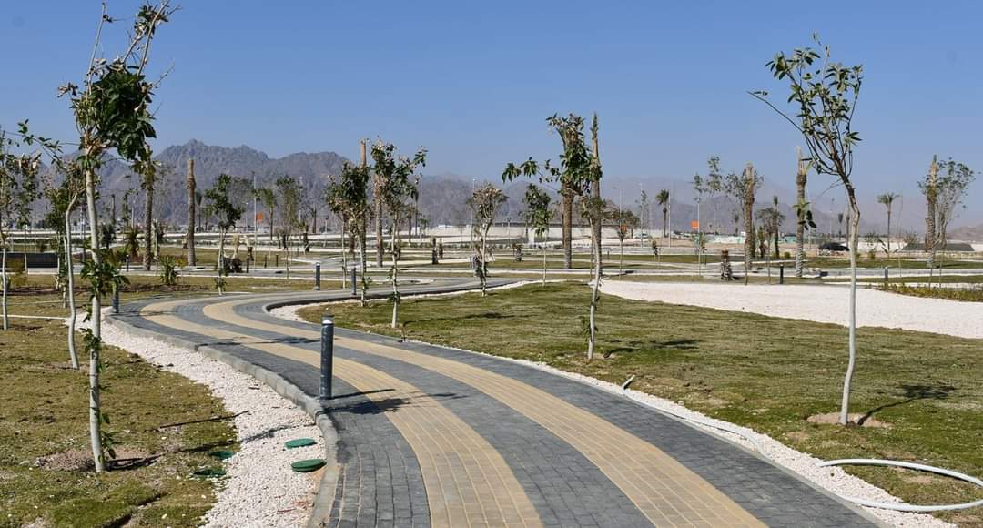 FB_IMG_1718971334366