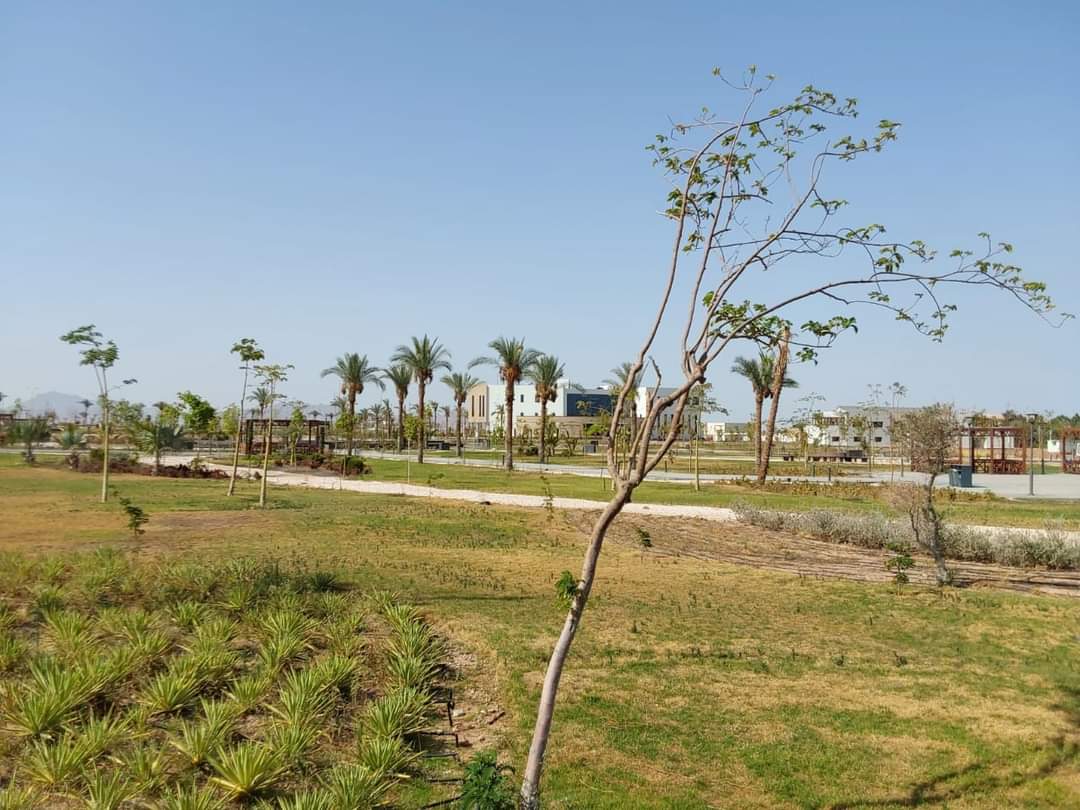 FB_IMG_1718971336941