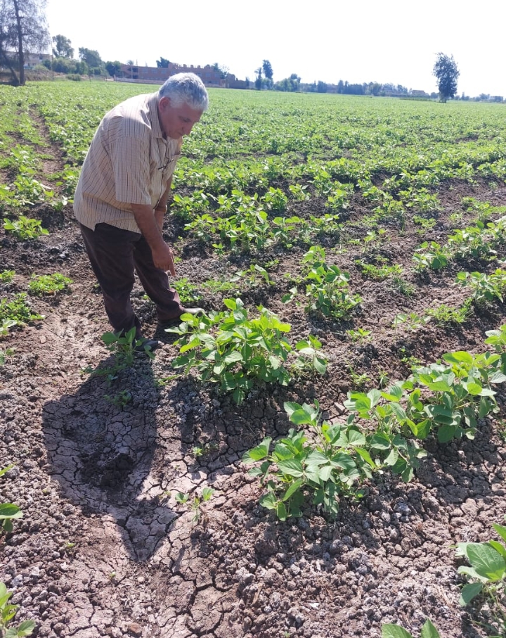 Screenshot_2024-06-26-14-42-09-76