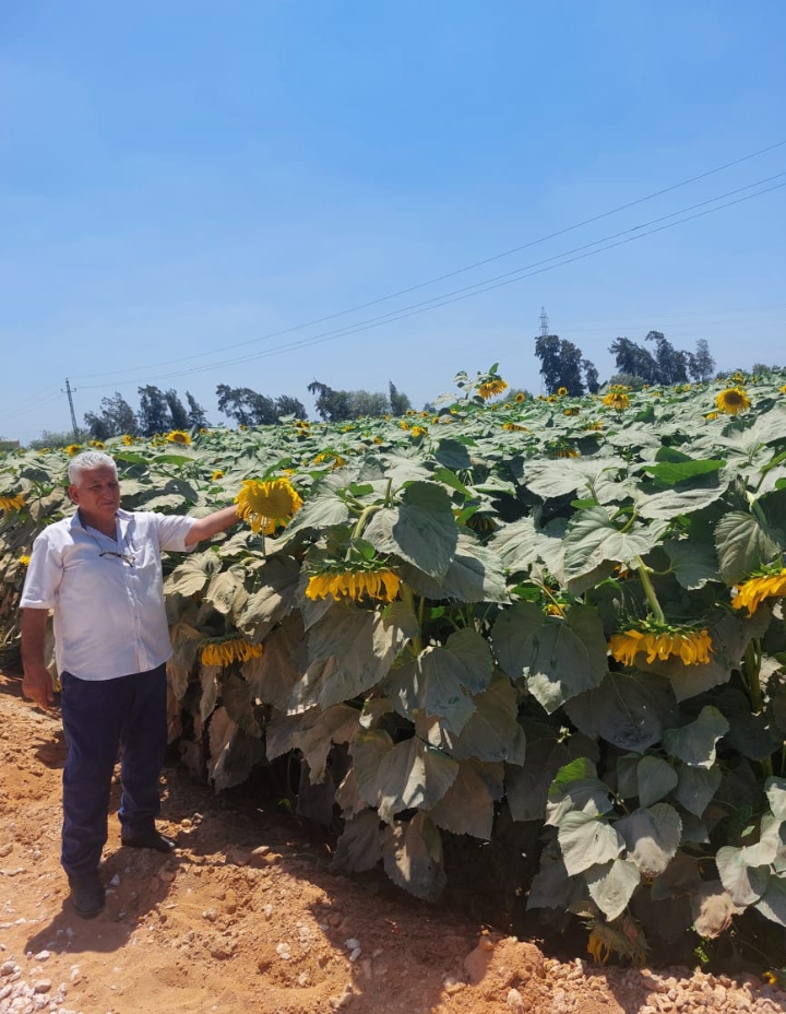 Screenshot_2024-06-26-14-42-21-01