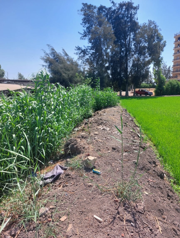 Screenshot_2024-06-26-14-41-44-91