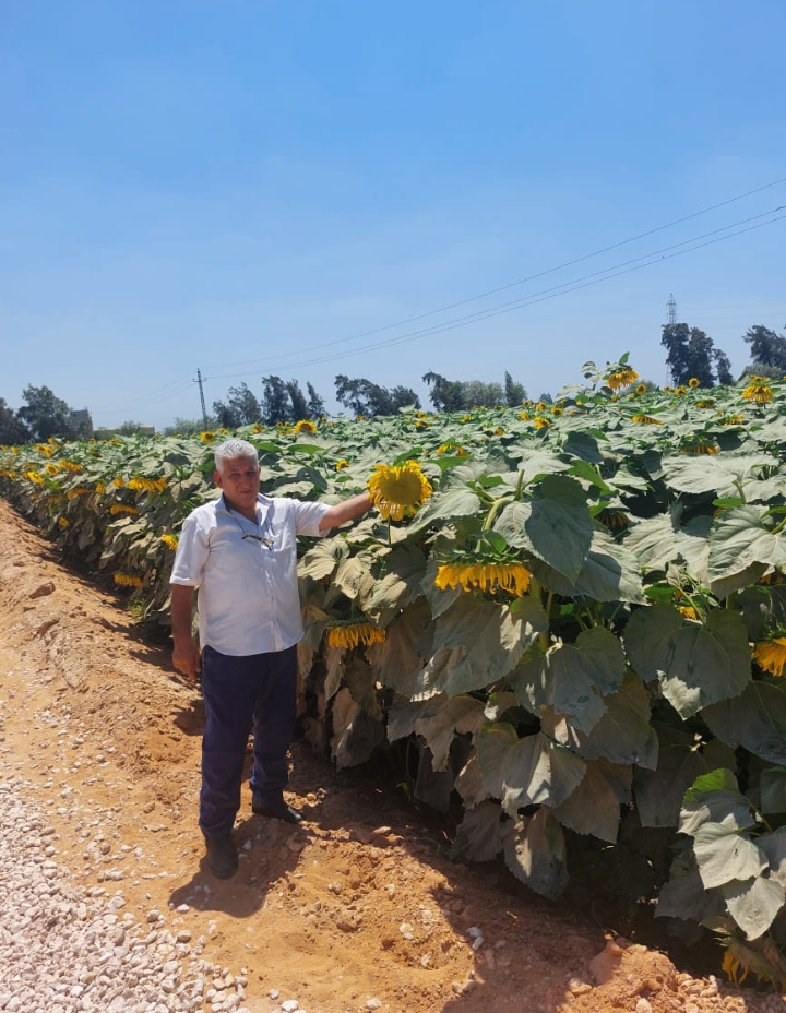 Screenshot_2024-06-26-14-42-35-28