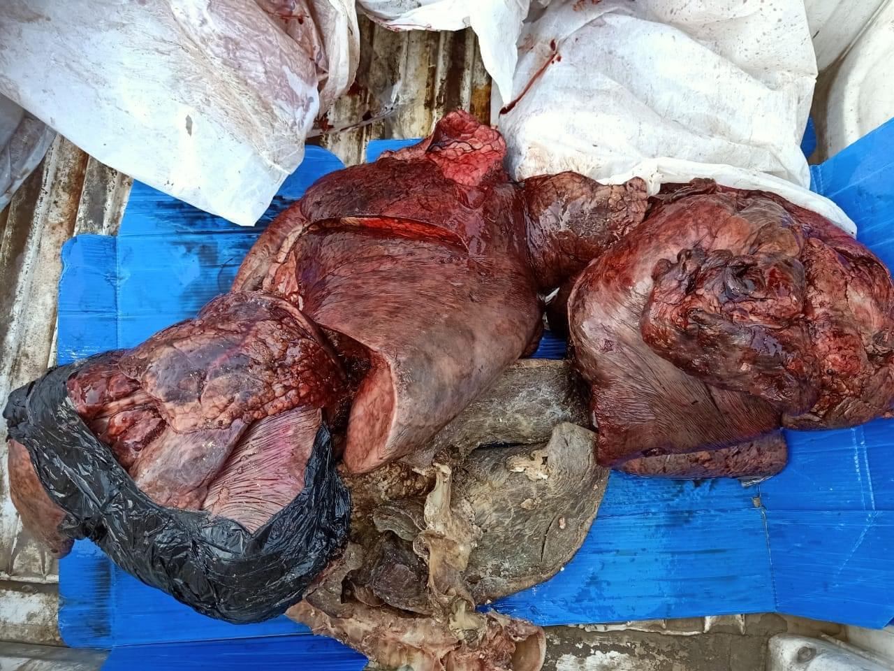 2A68A805-AD73-4312-B4BB-C63F11C39E9C