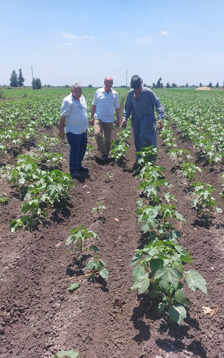 Screenshot_2024-06-27-19-11-14-67