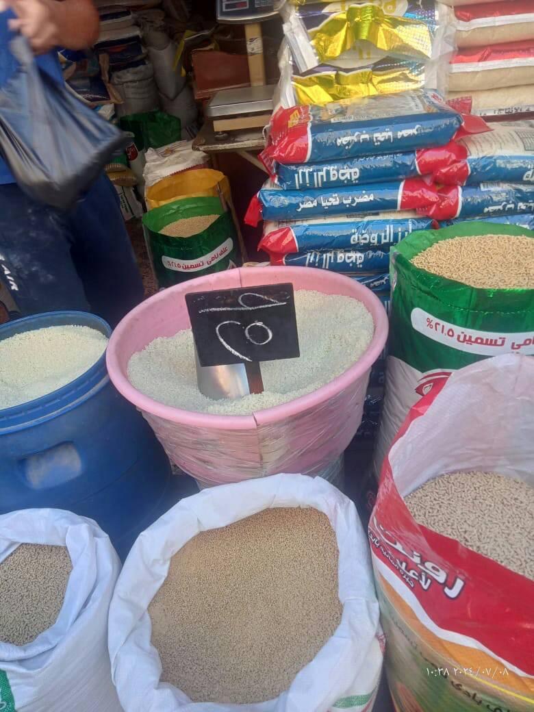 0579D48F-7D1B-4F8C-9D13-3178C831F3F2