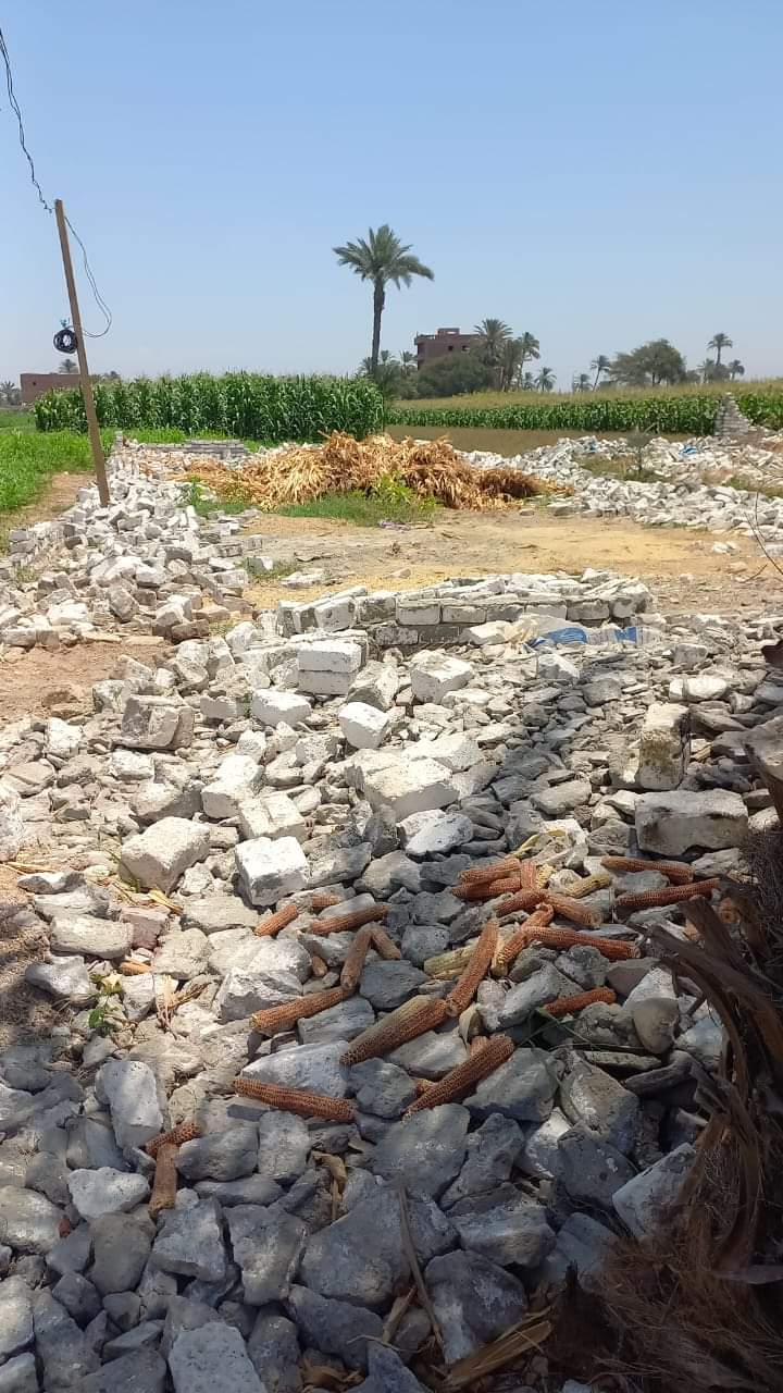 FB_IMG_1720790360540