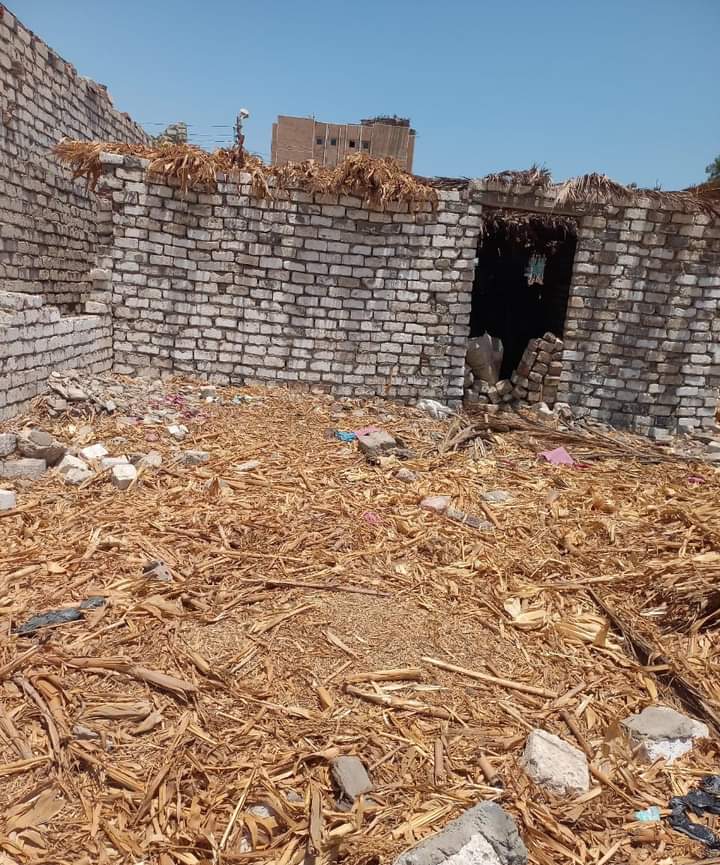 FB_IMG_1720790354948