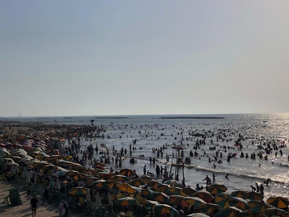 E034A07D-C644-4672-9326-0A9B5C3610B5