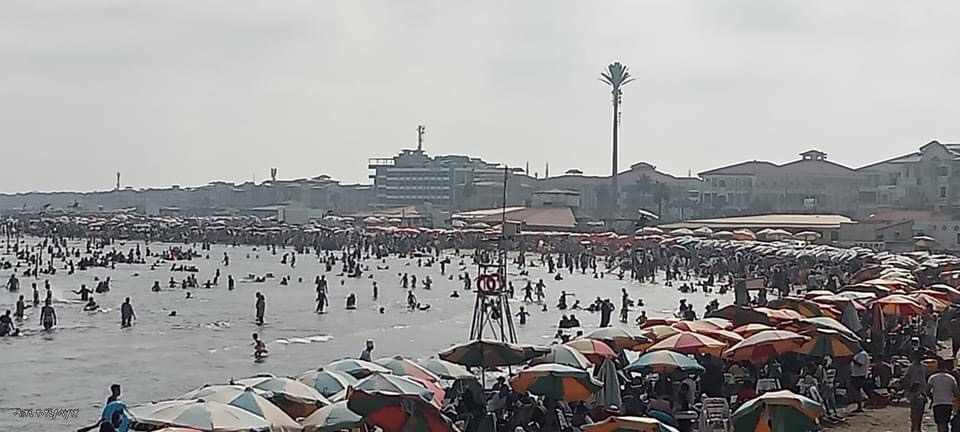 D84FE10D-BAB3-4C20-BDD7-3A37AB8EA289