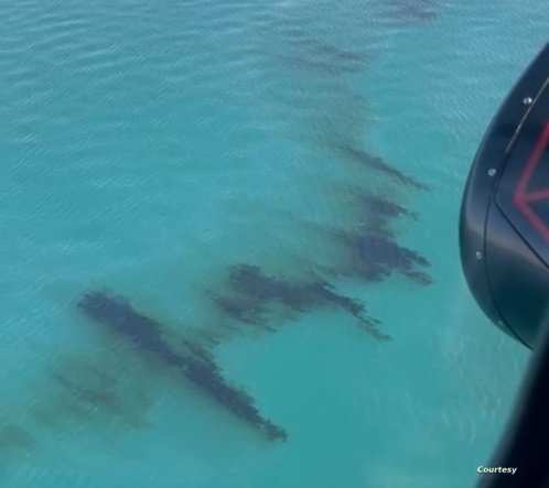 aa7bdf3e-9a59-49ce-89d1-728d970c2e34