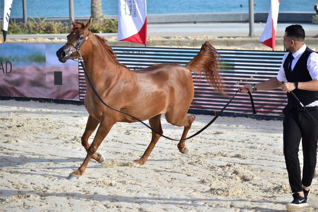 8ad71961-884d-4ae9-b408-9e8e5b1acd64