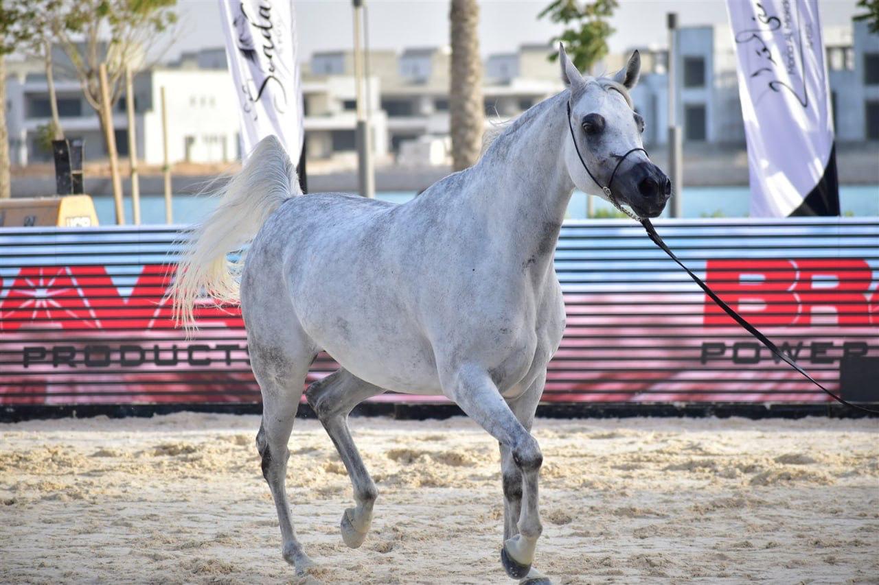 ca46c474-c2b2-43d9-b8ce-270f3ca27264