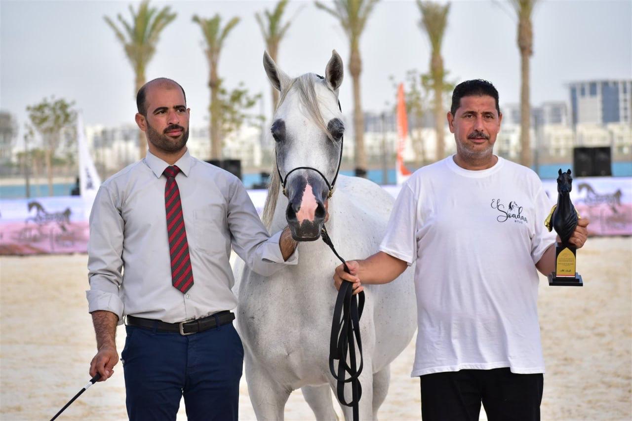 ba46db10-6a5f-4e91-a4d4-fdec41d12840