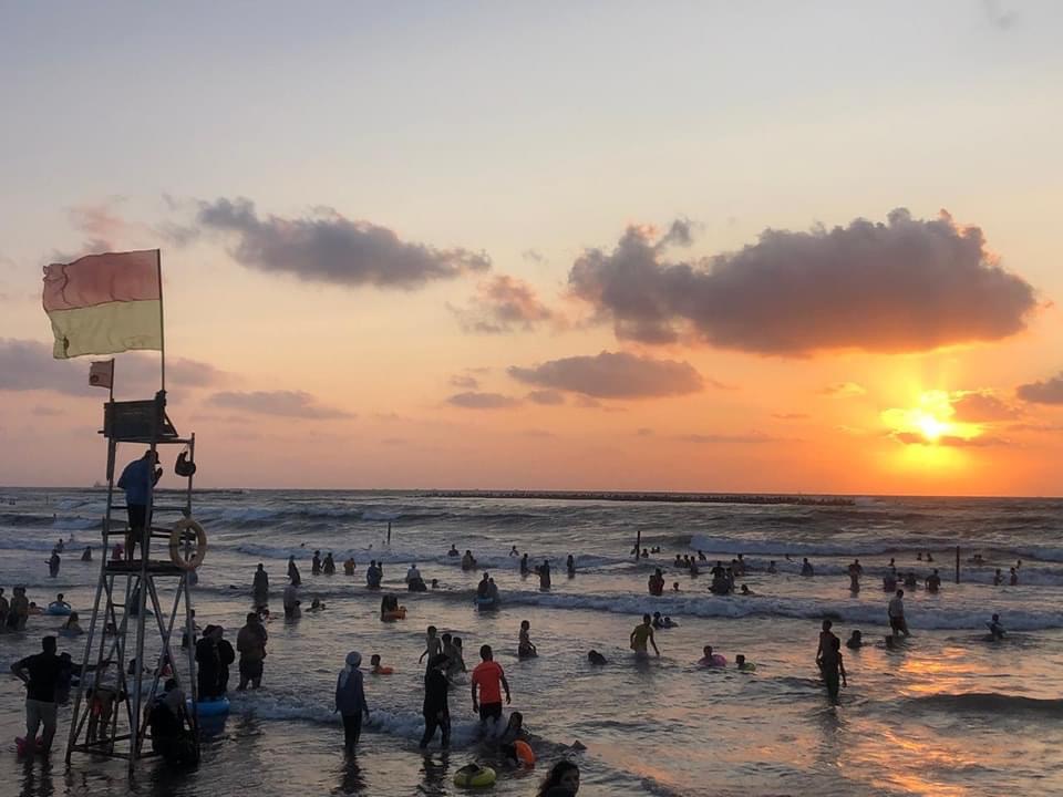 AC4D0519-07AA-4DCC-8DB0-FF8E889DE999