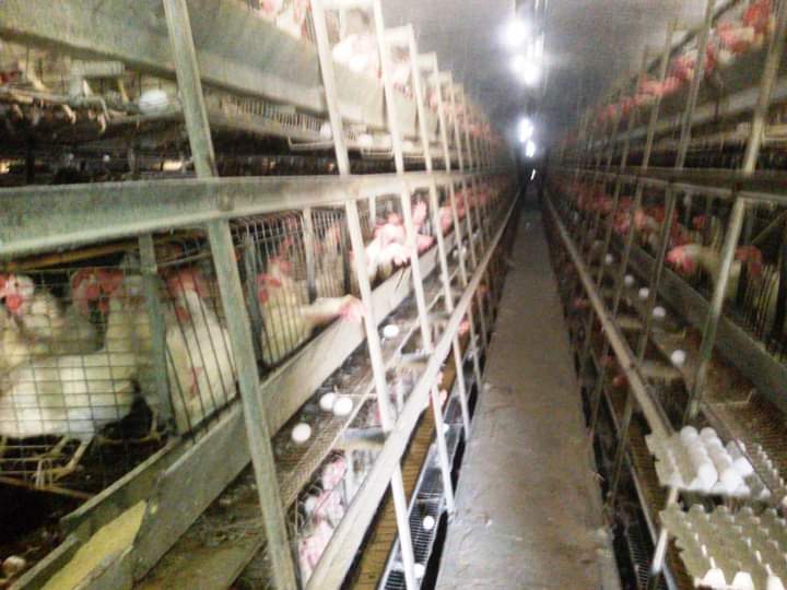 FB_IMG_1722339919285