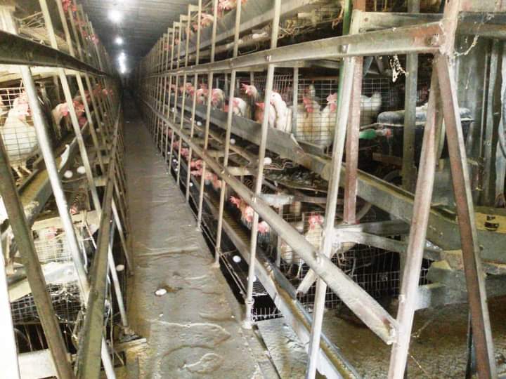 FB_IMG_1722339917299