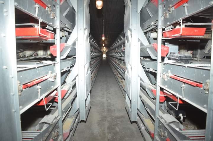 FB_IMG_1722339915128