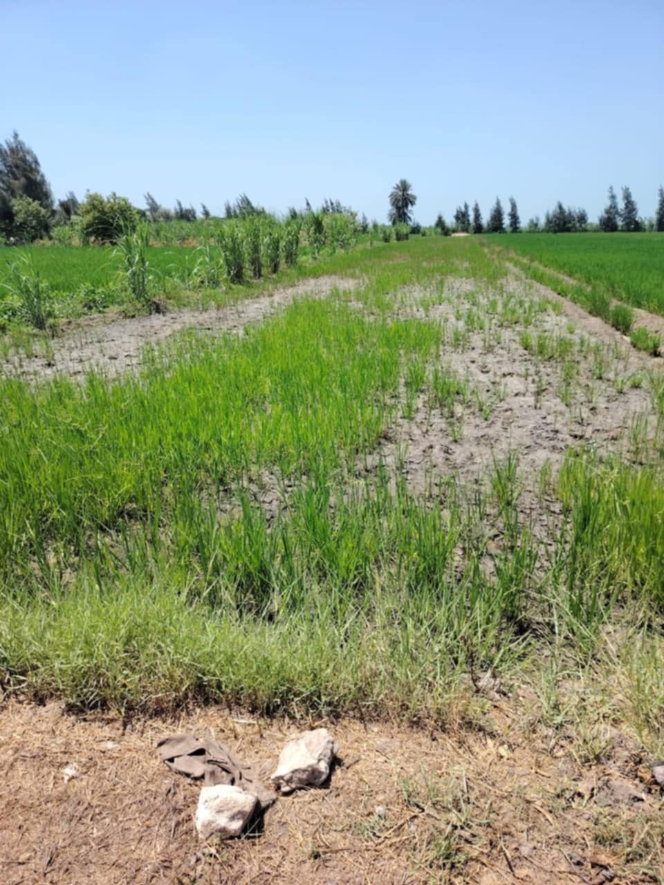 Messenger_creation_0ba750b4-f0dc-4099-a653-3dd1187c8025