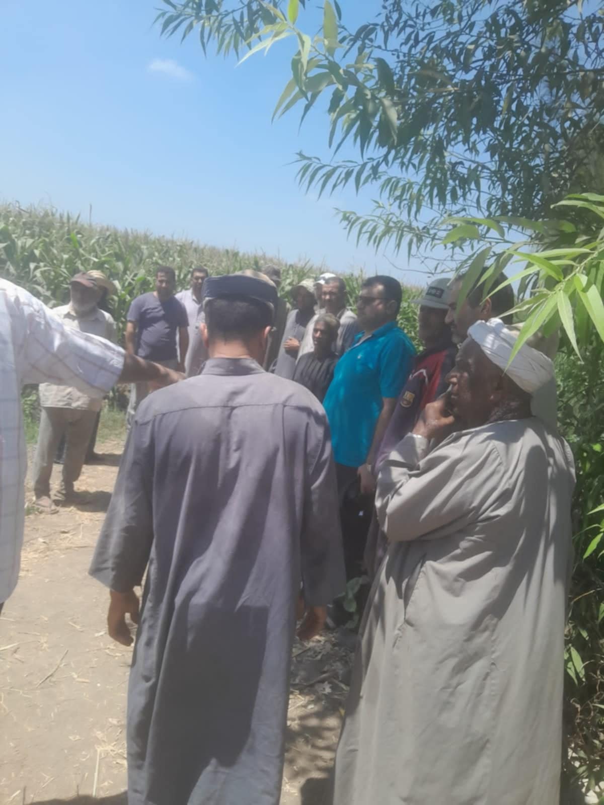 Messenger_creation_cd21472d-f7c9-4f98-a1b4-55bc98839470