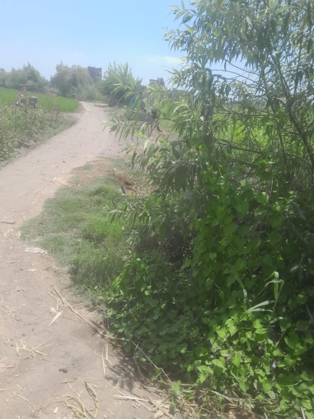 Messenger_creation_aaee6585-5b1d-4ca8-8336-63f05fc9fe1a