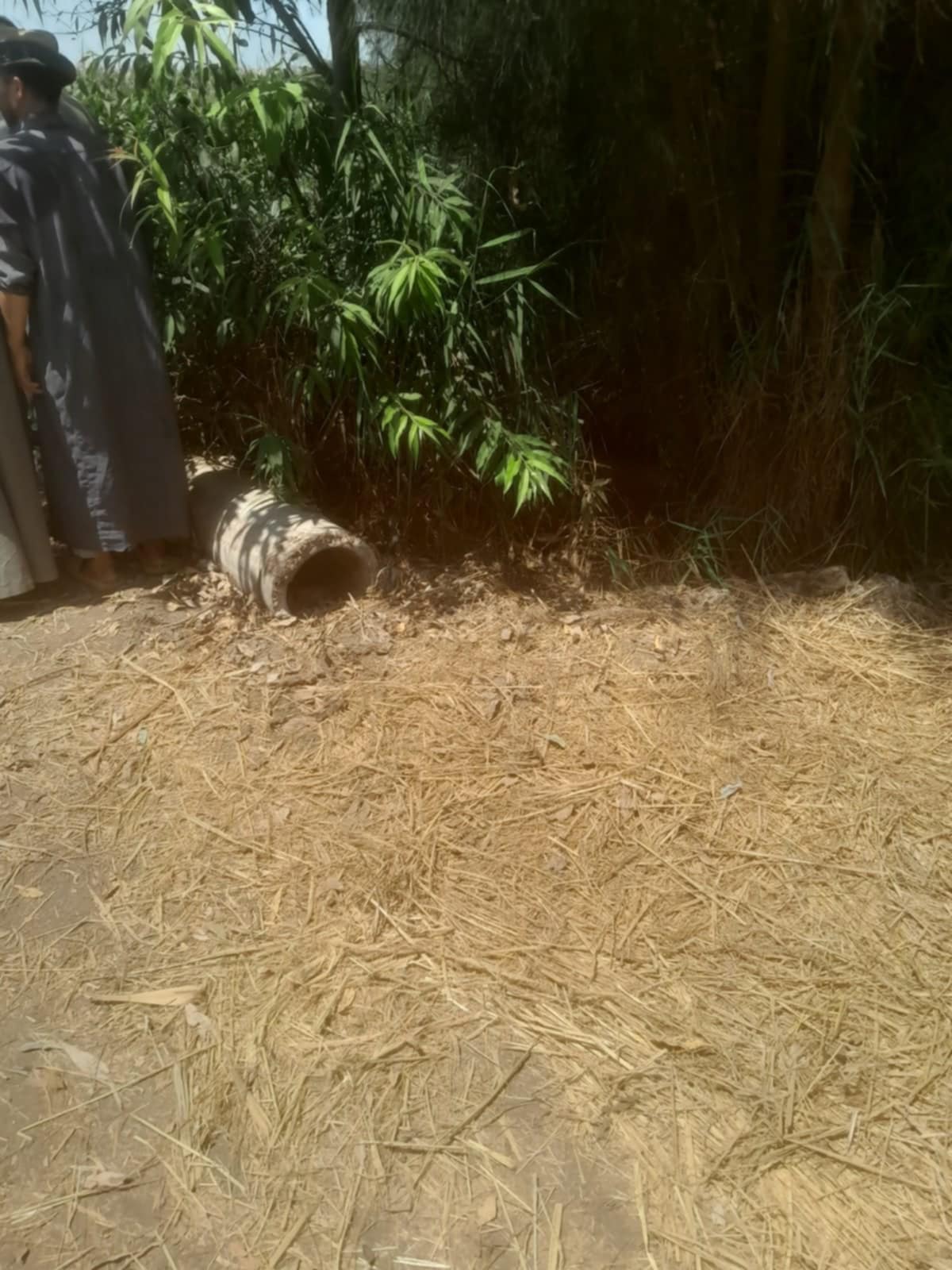 Messenger_creation_a6f255d1-b60a-48ff-af43-84ffaef86c8e