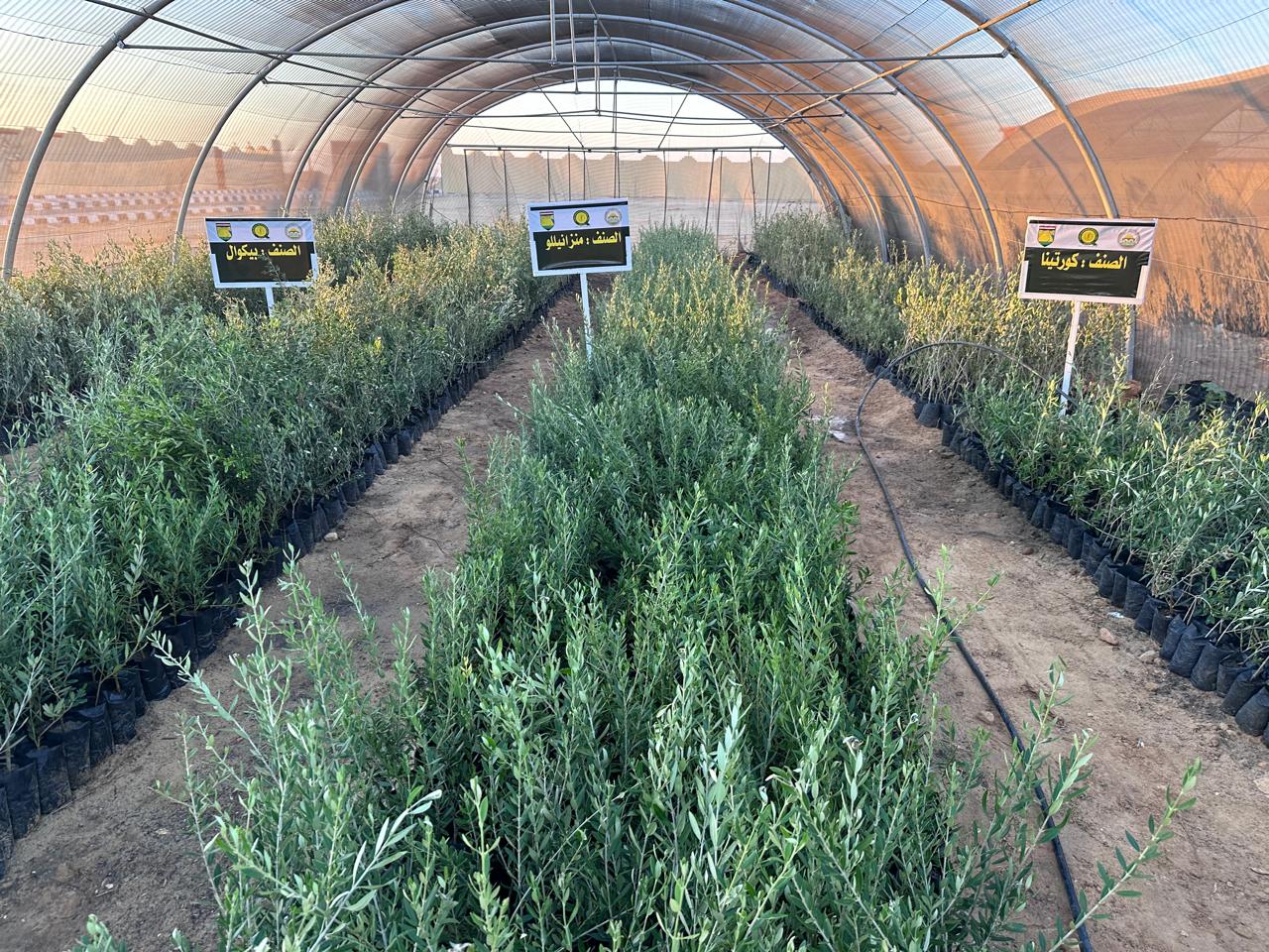 04bc163c-875f-4f00-a94f-92b00b12f96e