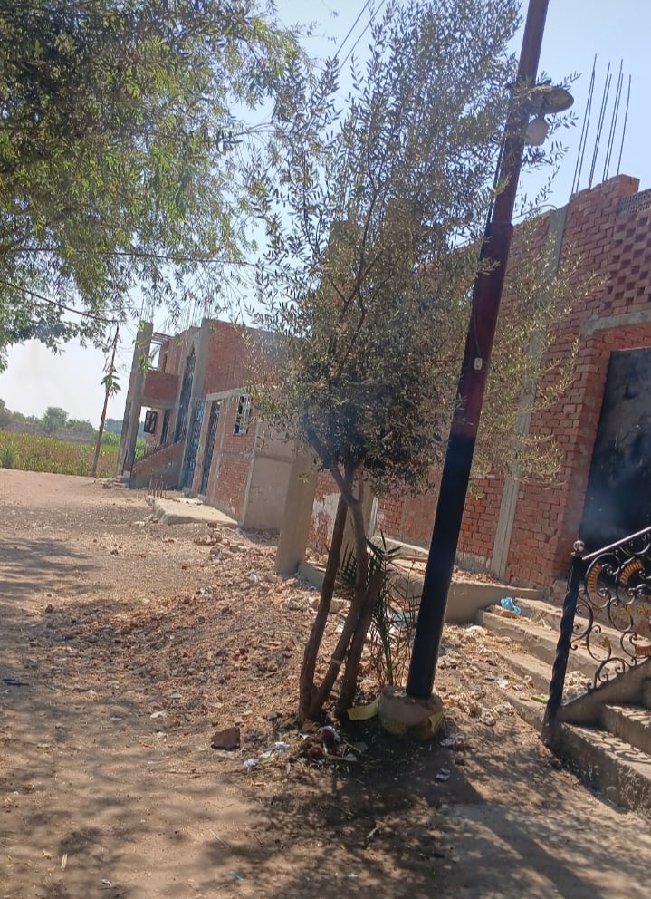 IMG_٢٠٢٤٠٨٢٧_١٣٥٧٤٤