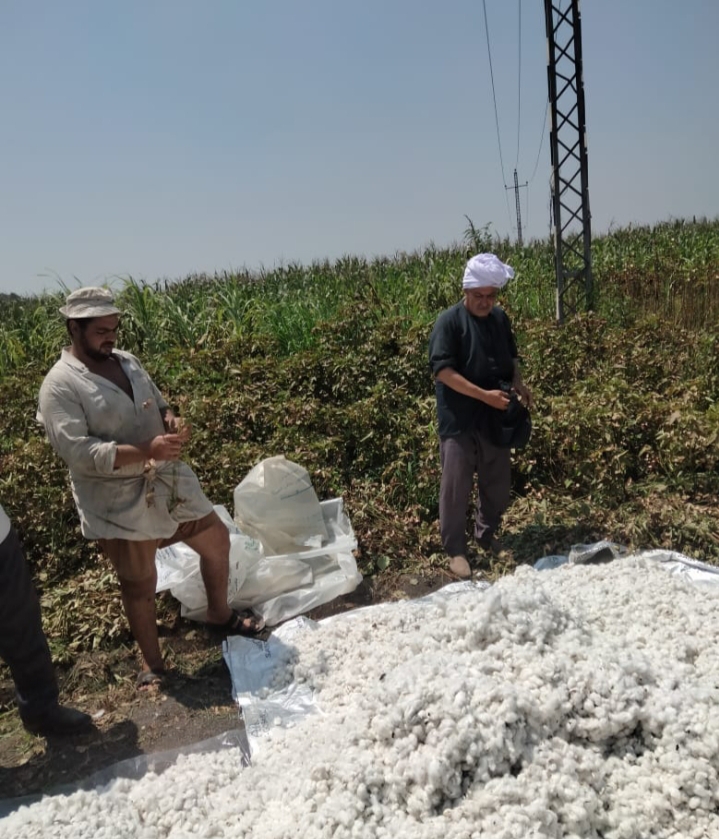 IMG_٢٠٢٤٠٩٠٧_١٧٢٠٥٥