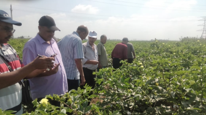 IMG_٢٠٢٤٠٩٠٧_١٧٢٠٣٠