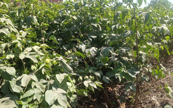 IMG_٢٠٢٤٠٩٠٧_١٧٢٠٢٠