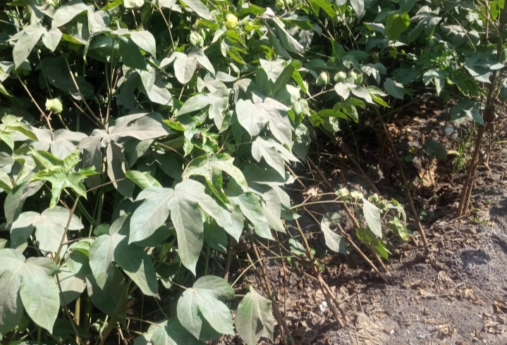 IMG_٢٠٢٤٠٩٠٧_١٧٢٠٠٧