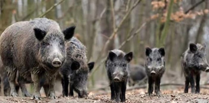 d8c2ca48-4d12-4aed-8939-6cc022028ef4