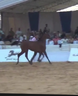 IMG_٢٠٢٤٠٩٢٥_٢٠٠٧٤٣