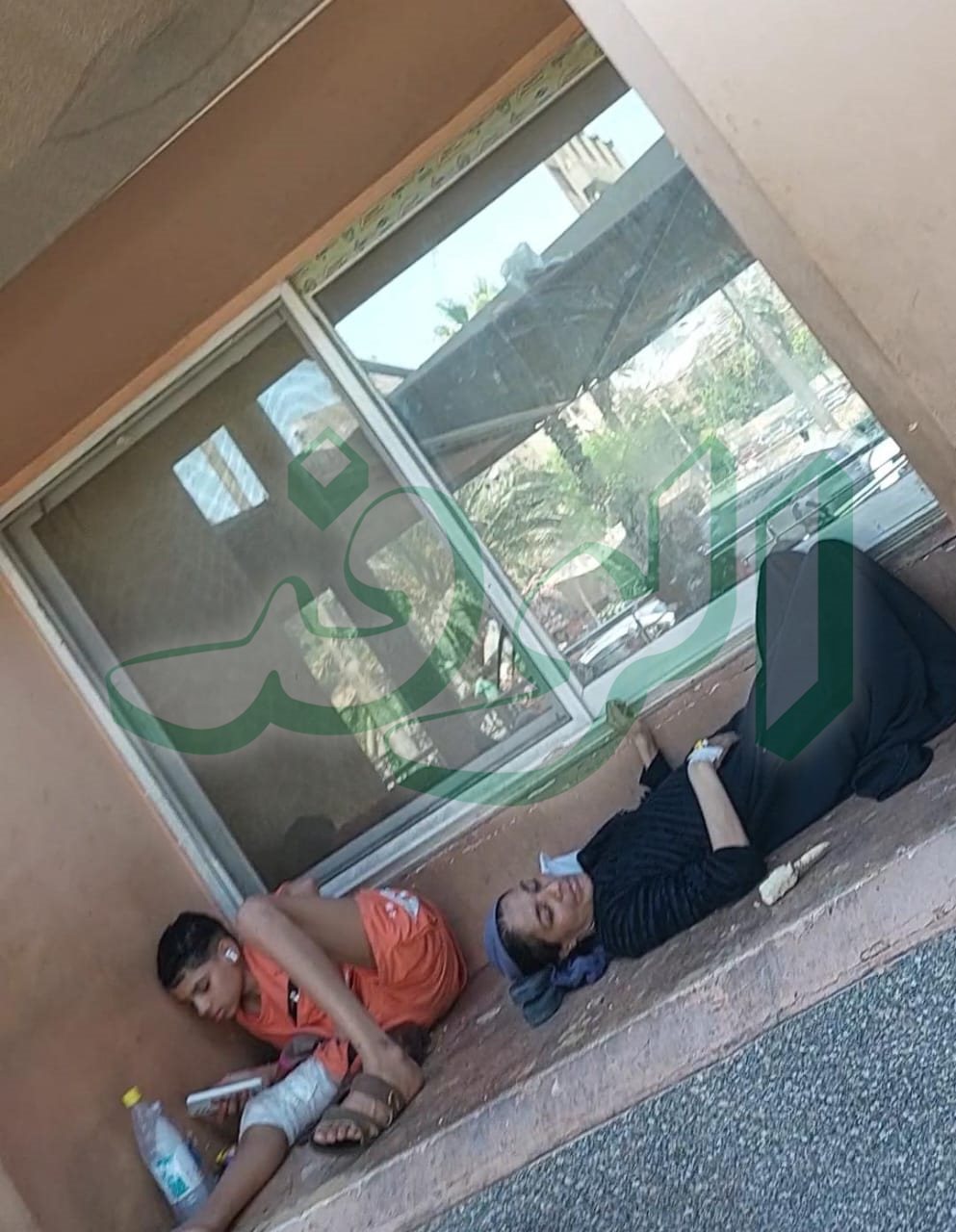 شيبسش
