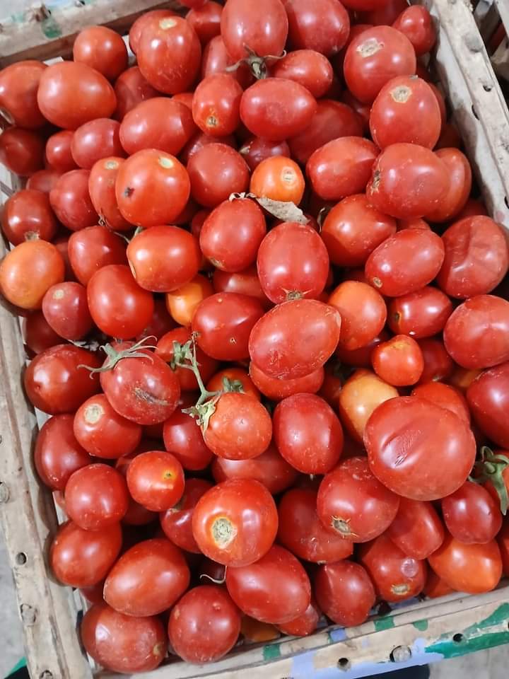 FB_IMG_1727036299788