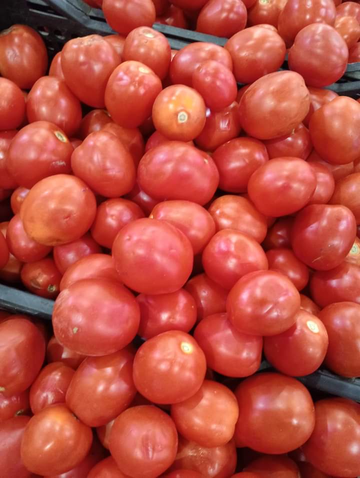 FB_IMG_1727373520189