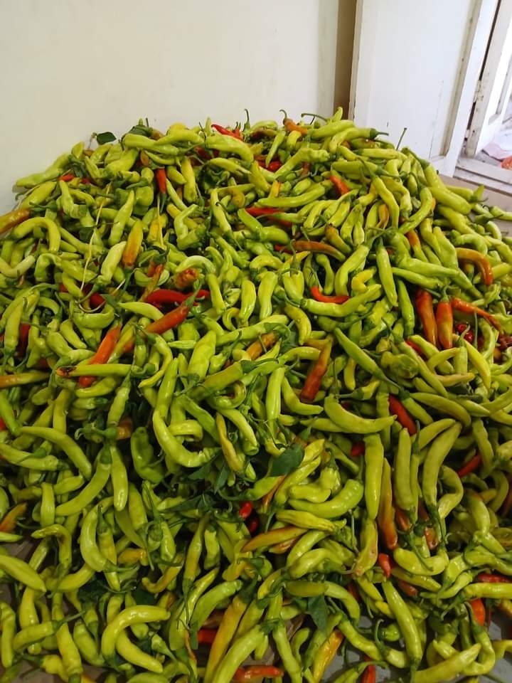 FB_IMG_1727036305627