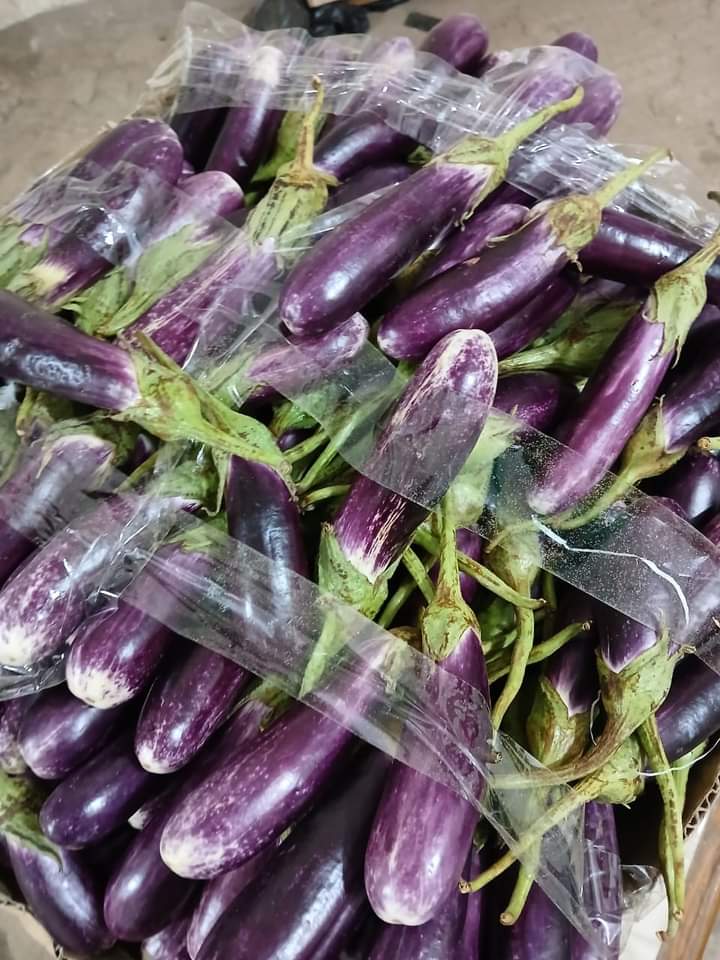 FB_IMG_1727036309008