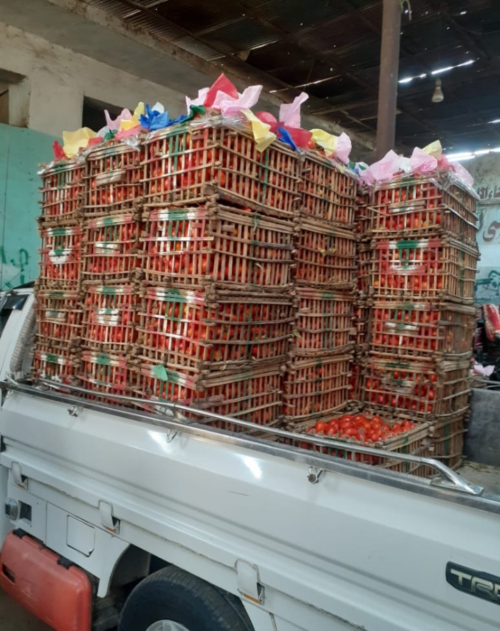 IMG_٢٠٢٤٠٩٢٧_١٤٣٧١٩