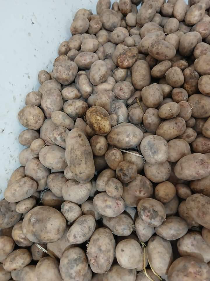 FB_IMG_1727036311957