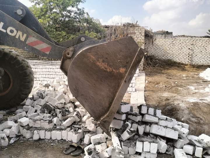 FB_IMG_1731233739456